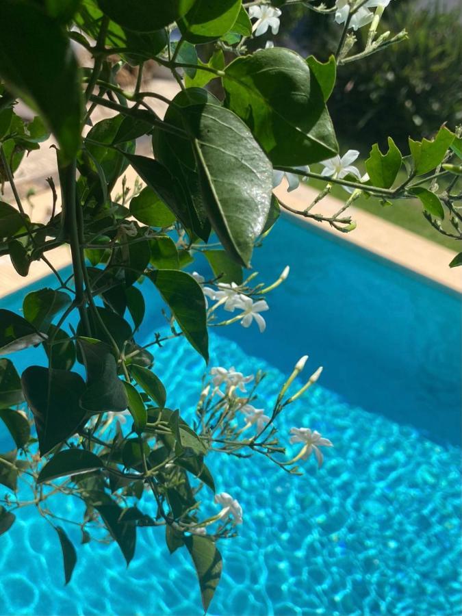 Beautiful Villa With Pool, Barbecue, And Garden Jávea Екстериор снимка